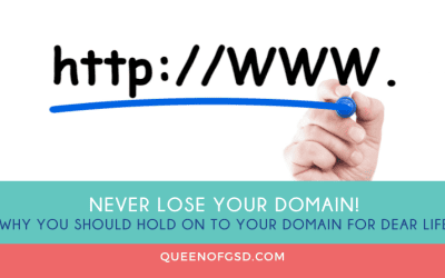 Never Lose Your Domain!